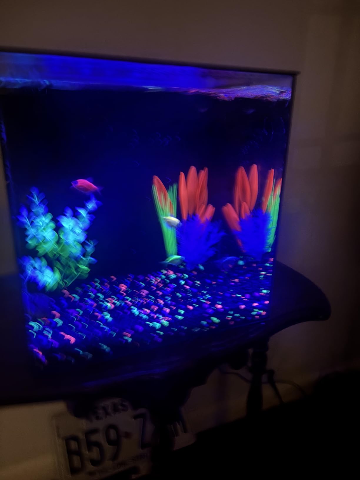 HelloReef 15 Gallon Glofish Complete Freshwater Aquarium Kit with App Controlled Smart LED Lighting and Filtration customer photo 2