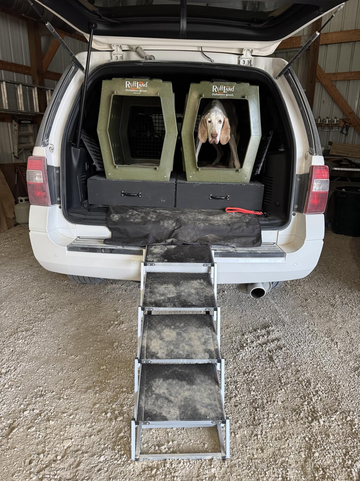 DGSL Dog Ramp for Car, 4-Step Folding Dog Stairs, Aluminum, Black, Supports Up to 250 Lbs customer photo 1