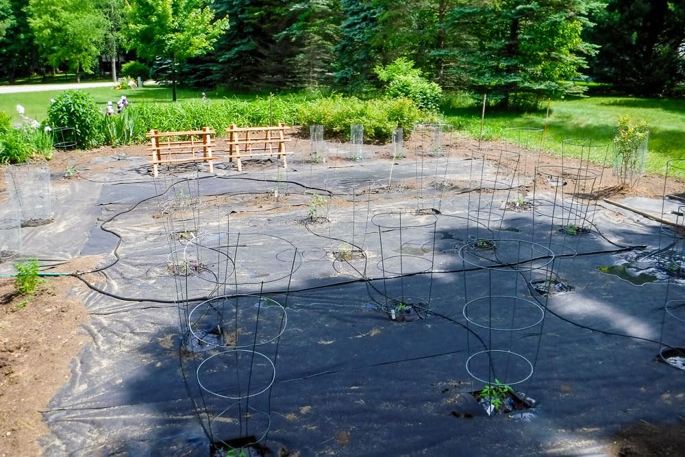 250FT Drip Irrigation System for Garden - 50FT 1/2