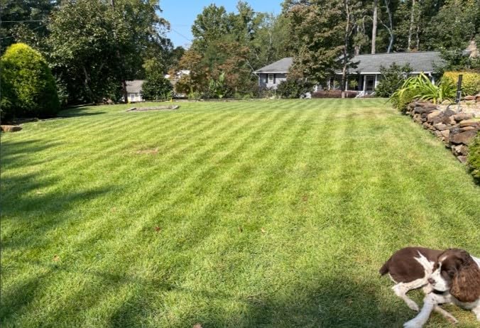 Husqvarna Automower iQ Series 410 iQ, Robot Lawn Mower customer photo 1