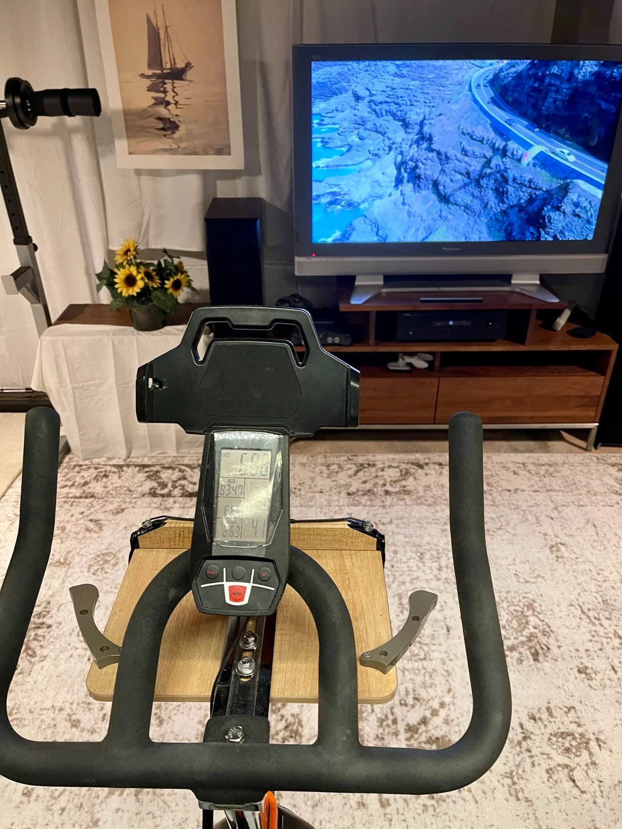 YOSUDA PRO Magnetic Exercise Bike 350 lbs Weight Capacity customer photo 1