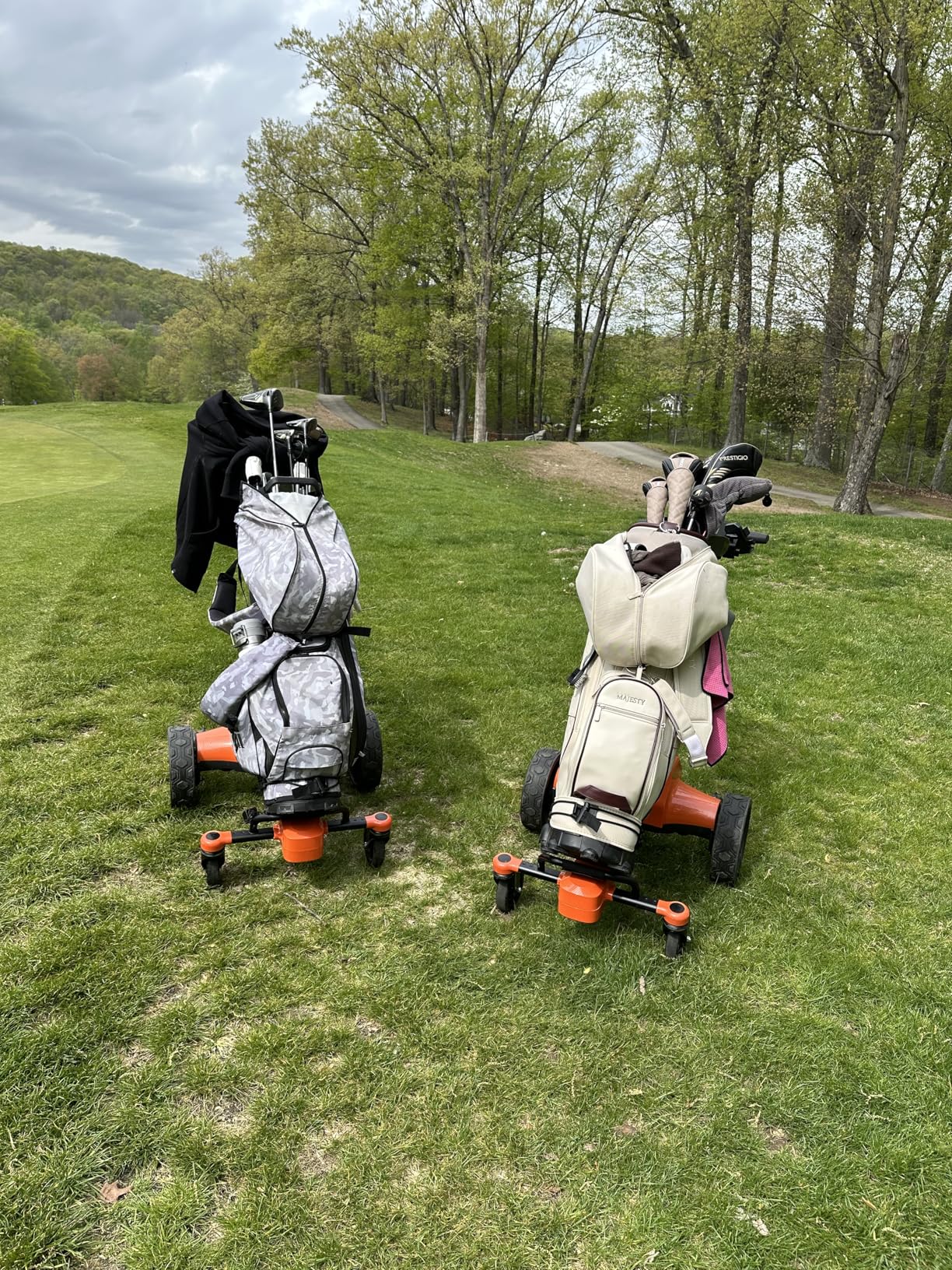 tianhong G5 Electric Golf Cart, Electric Golf Push cart Auto-Follow You, 45 Hole Battery, All-Terrain Anti-Tipping, Electric Golf Push cart with Remote (APP/Manual Control), Foldable customer photo 1