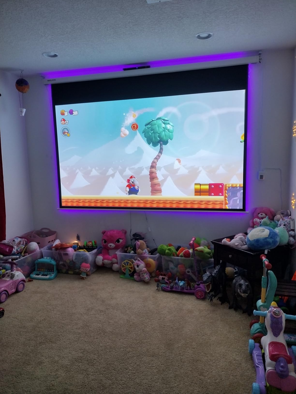 WASJOYE Motorised Projector Screen 120