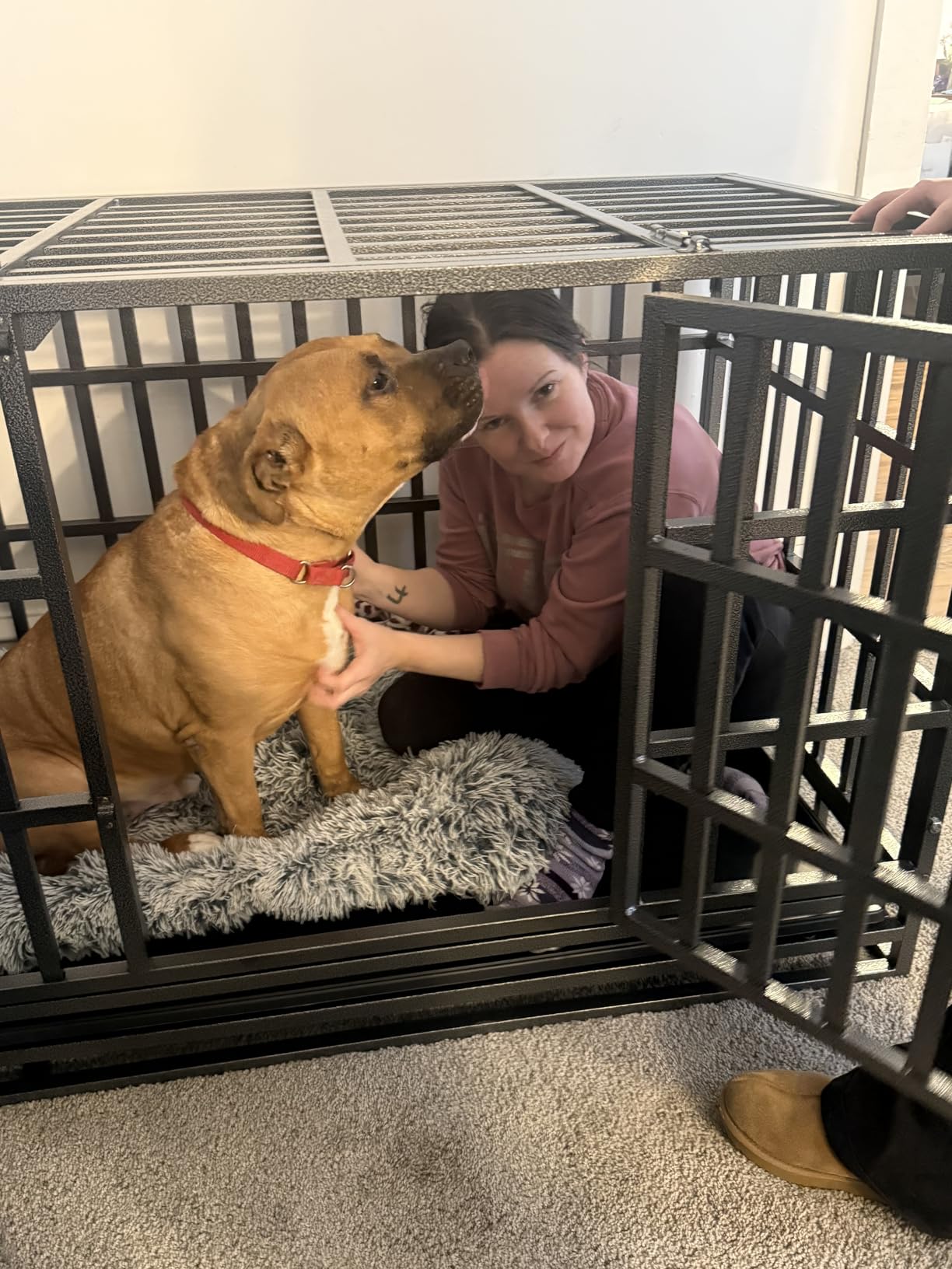 54 inch Heavy Duty Indestructible and Escape-Proof Dog Crate Cage Kennel for 1 XL or 2 Medium Dogs, Divider Panel, Removable Tray & Wheels, for High-Anxiety Dogs, Extra Large XL (Black) customer photo 1