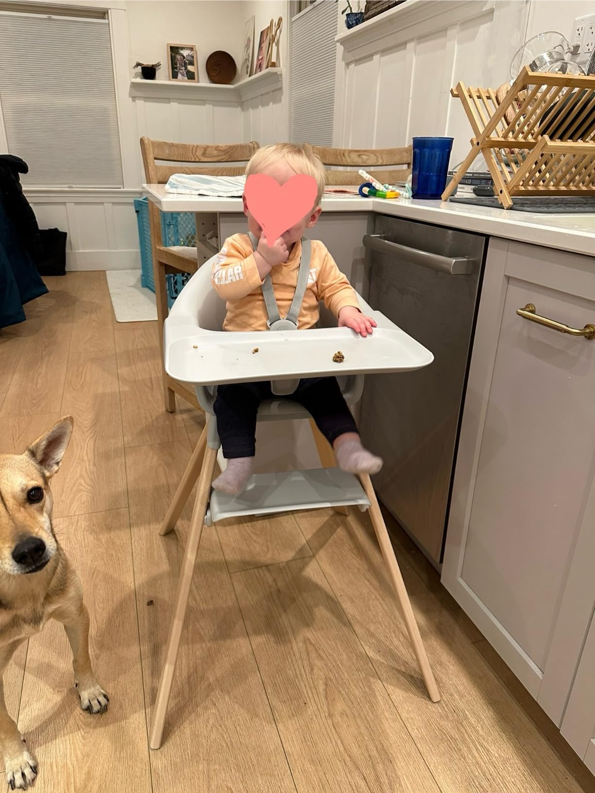 Stokke Clikk High Chair, Glacier Green - All-in-One High Chair with Tray + Harness - Light, Durable & Travel Friendly - Ergonomic with Adjustable Features - Best for 6-36 Months or Up to 33 lbs customer photo 1