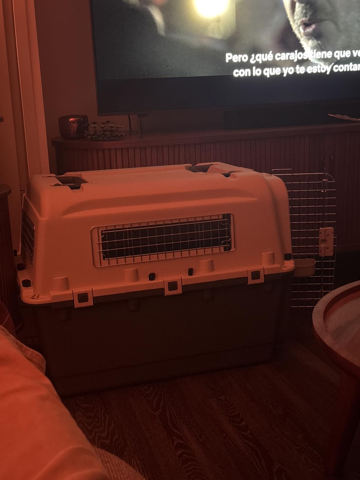 Elevon Plastic Kennels, Plastic Dog Crate, Airline Approved Pet Carrier for Dogs and Cats Longer Traveling, XL customer photo 1