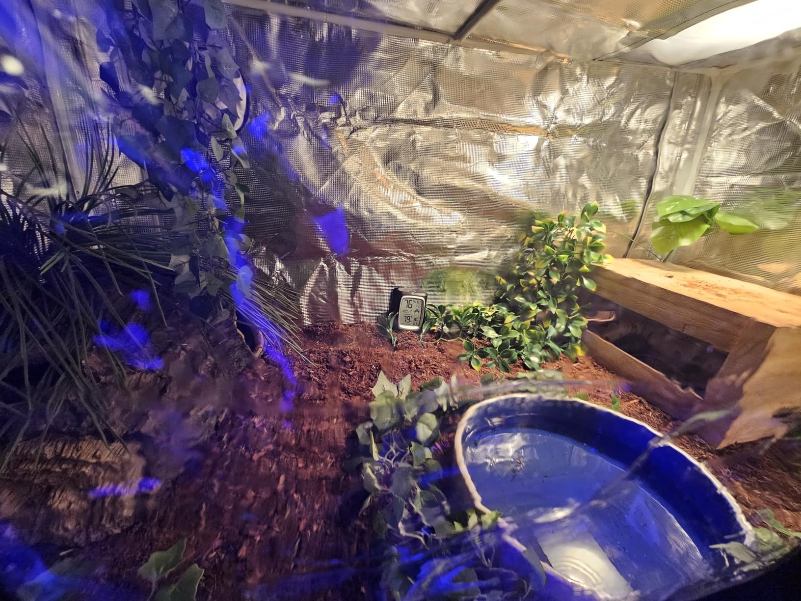 MELONFARM Grow Tent Complete Setup 2x2, 70W Full Spectrum LED Grow Light & 24