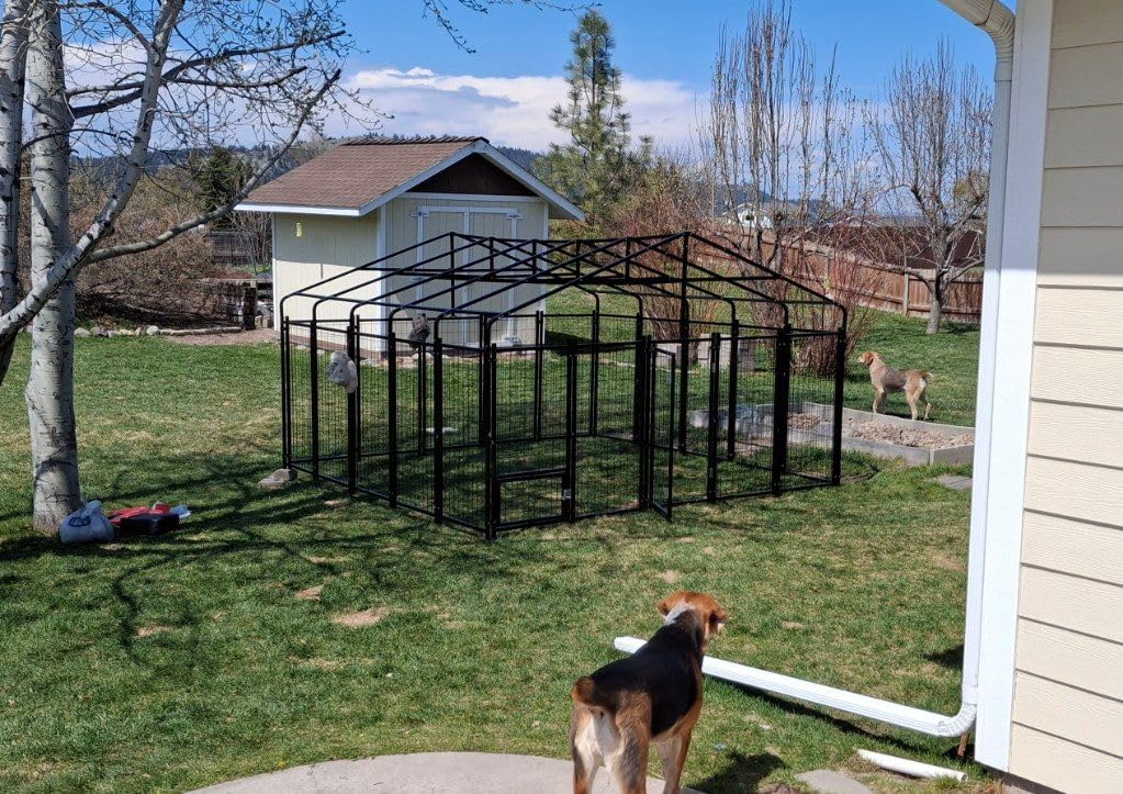 10X10FT Large Dog Kennel Outdoor Dog Enclosure Outside, Double Door Heavy Duty Galvanized Steel Dog Crate Durable Dog Cage with Roof & Double Lock customer photo 2