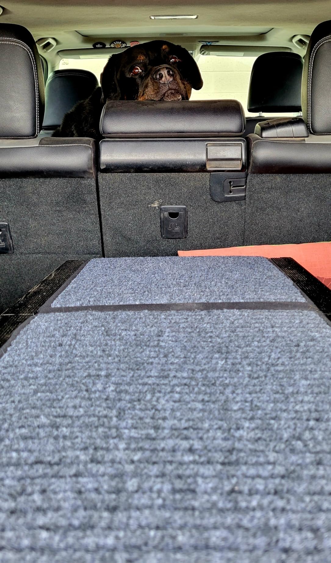 Dog Ramp for Cars SUV Truck-17.3x71in Heavy Duty Foldable Wide Outdoor Pet Stairs with Non-Slip Surface Portable Folding Design for Large Dogs Up to 250lbs (63