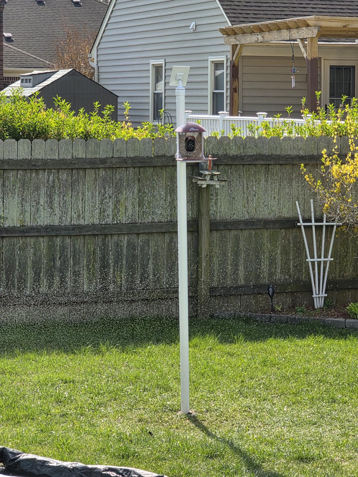 Smart Bird Feeder with Camera Solar Powered, 2.5K HD Birdwatching Camera with Free AI Bird Identification, Instant Notifications & Auto Video Capture customer photo 1