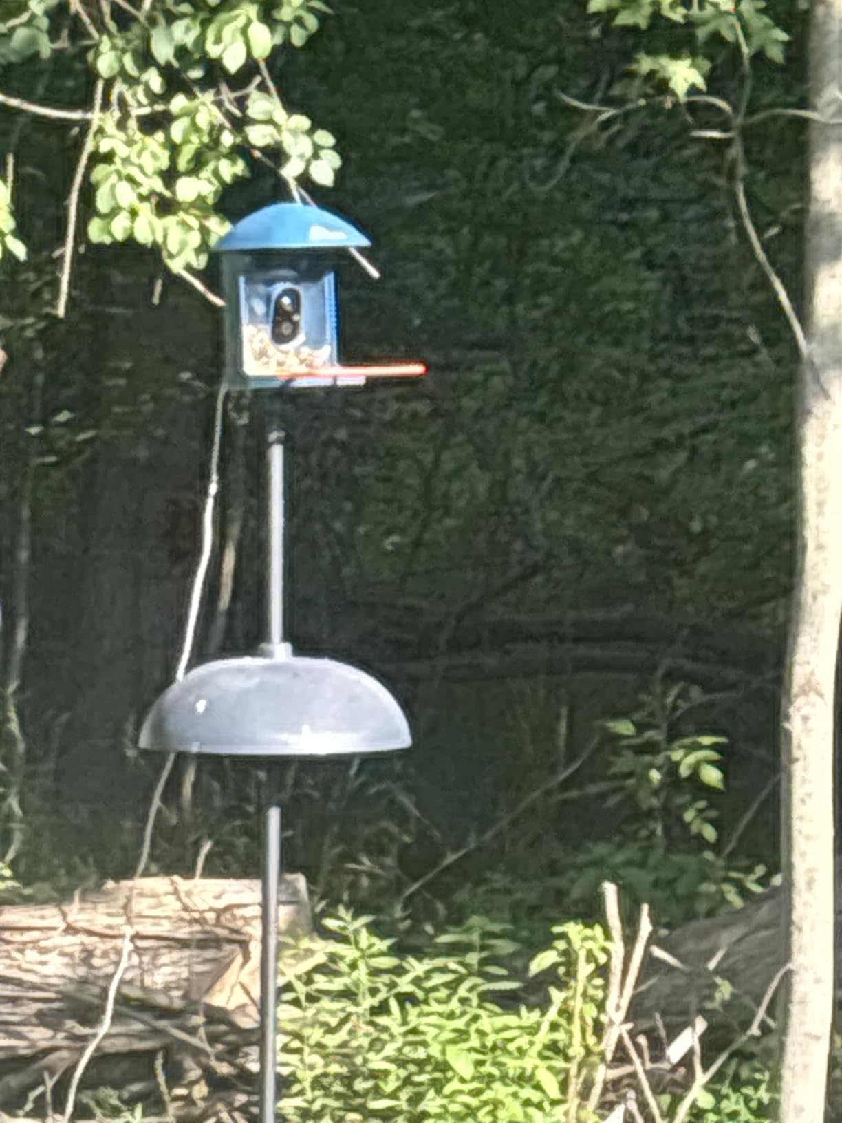Smart Bird Feeder with Camera Solar Powered, 2.5K HD Birdwatching Camera with Free AI Bird Identification, Instant Notifications & Auto Video Capture customer photo 2