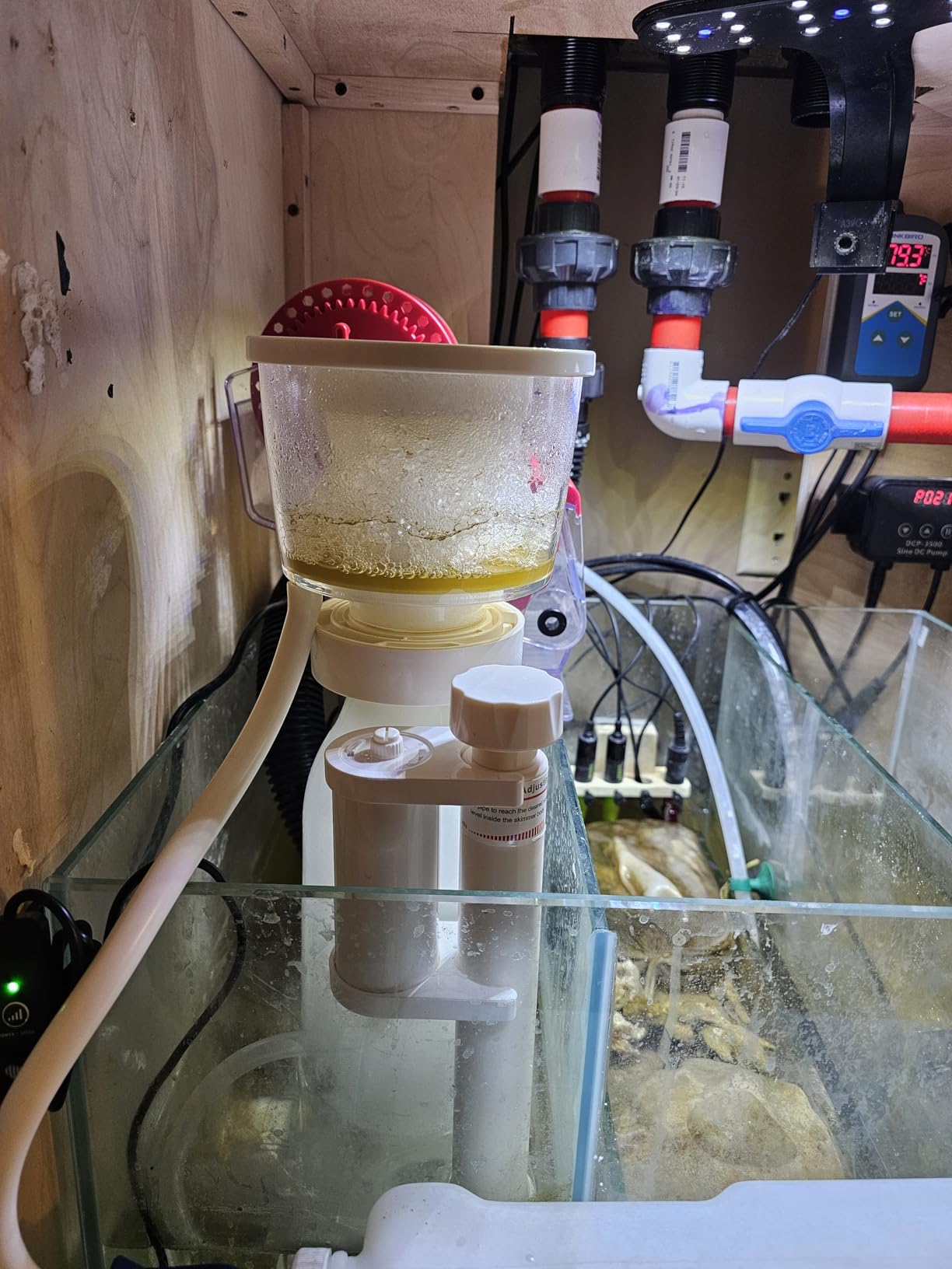 Protein Skimmer for Saltwater Aquariums, for 90-120 Gals Fish Tanks, DC Needle-Wheel Pump, In Sump Use customer photo 1