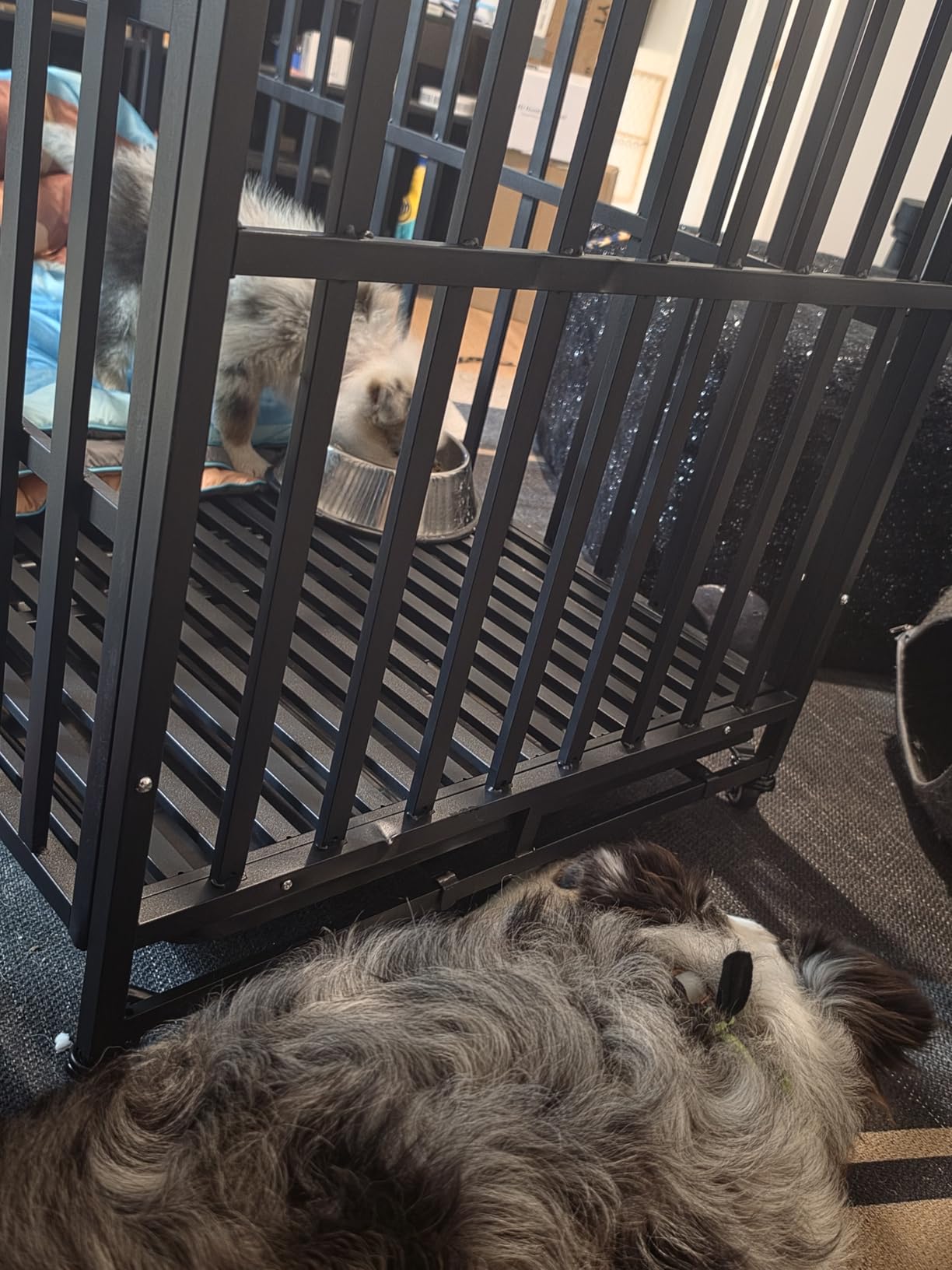 Heavy Duty Dog Crate, Escape-Proof Indestructible Cage for High-Anxiety Dogs, 3-Door Kennel with 4 Lockable Wheels and 2 Removable Trays Ideal for Large & Medium Breeds (43 Inch) customer photo 2
