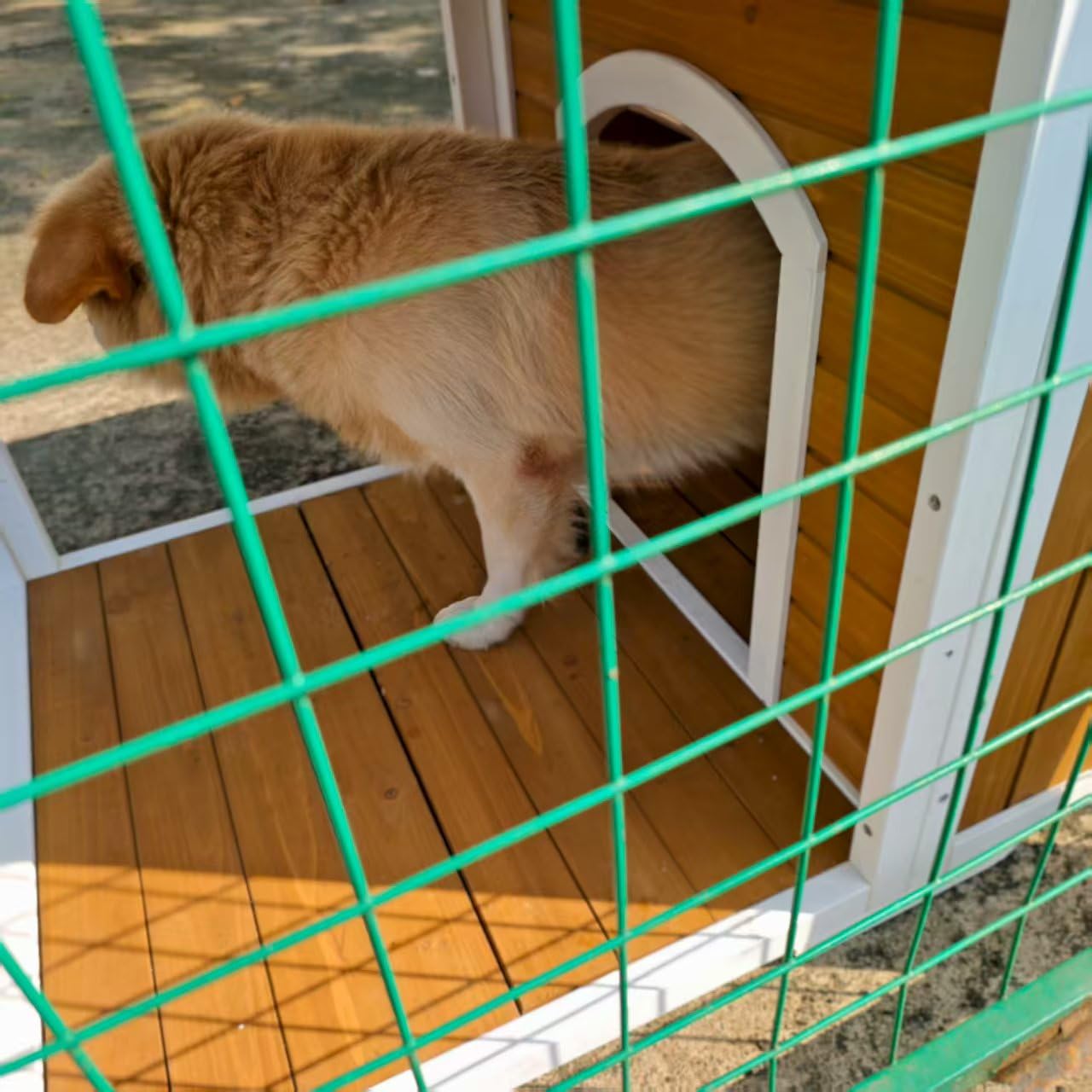Dog House Outdoor Large Breed, 59