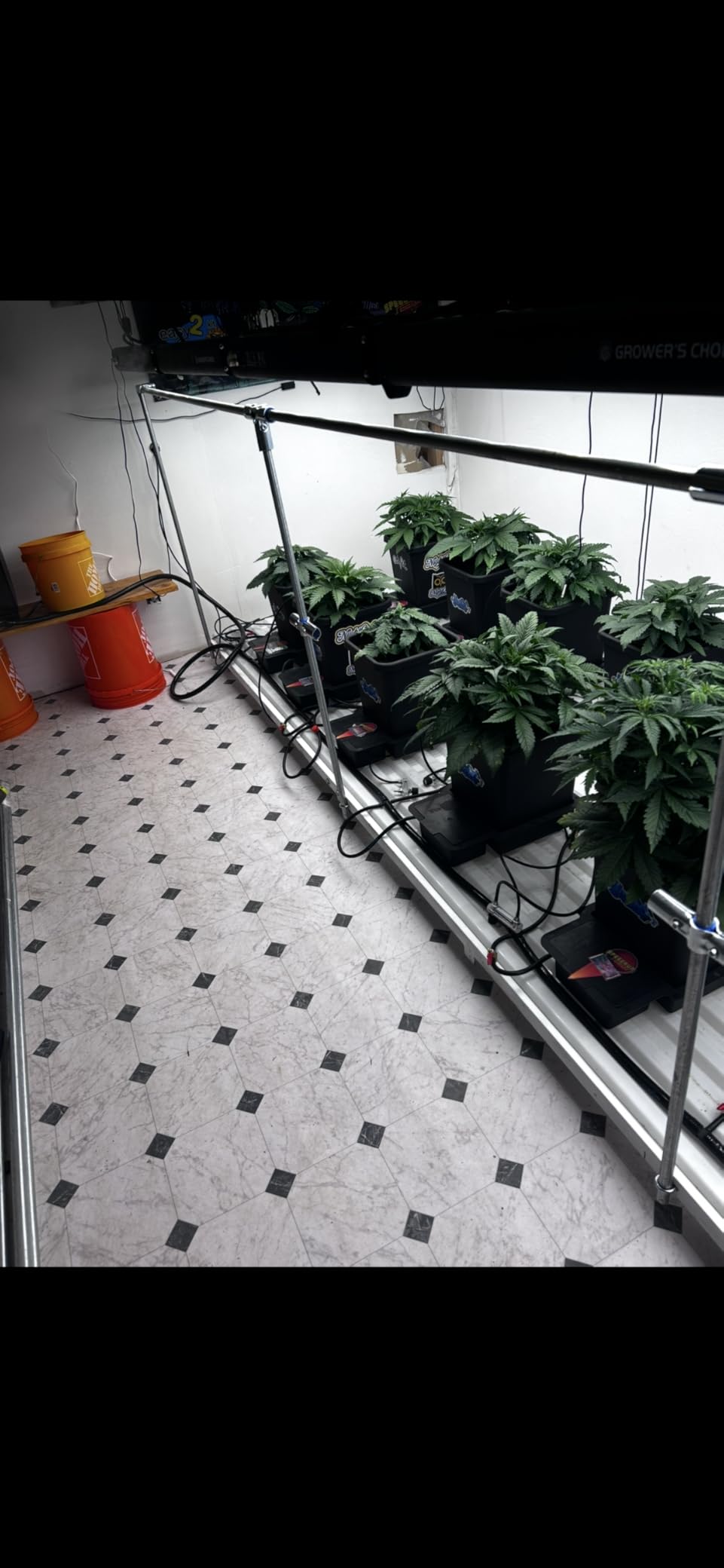 AC Infinity Outlet AI, Environment Controller, Smart WiFi Power Strip, Dual-Zone Temperature Humidity, Individual Control 4 Plugs, AI Targeting, Thermostat Greenhouse Aquarium Terrarium Home, 1800W customer photo 2