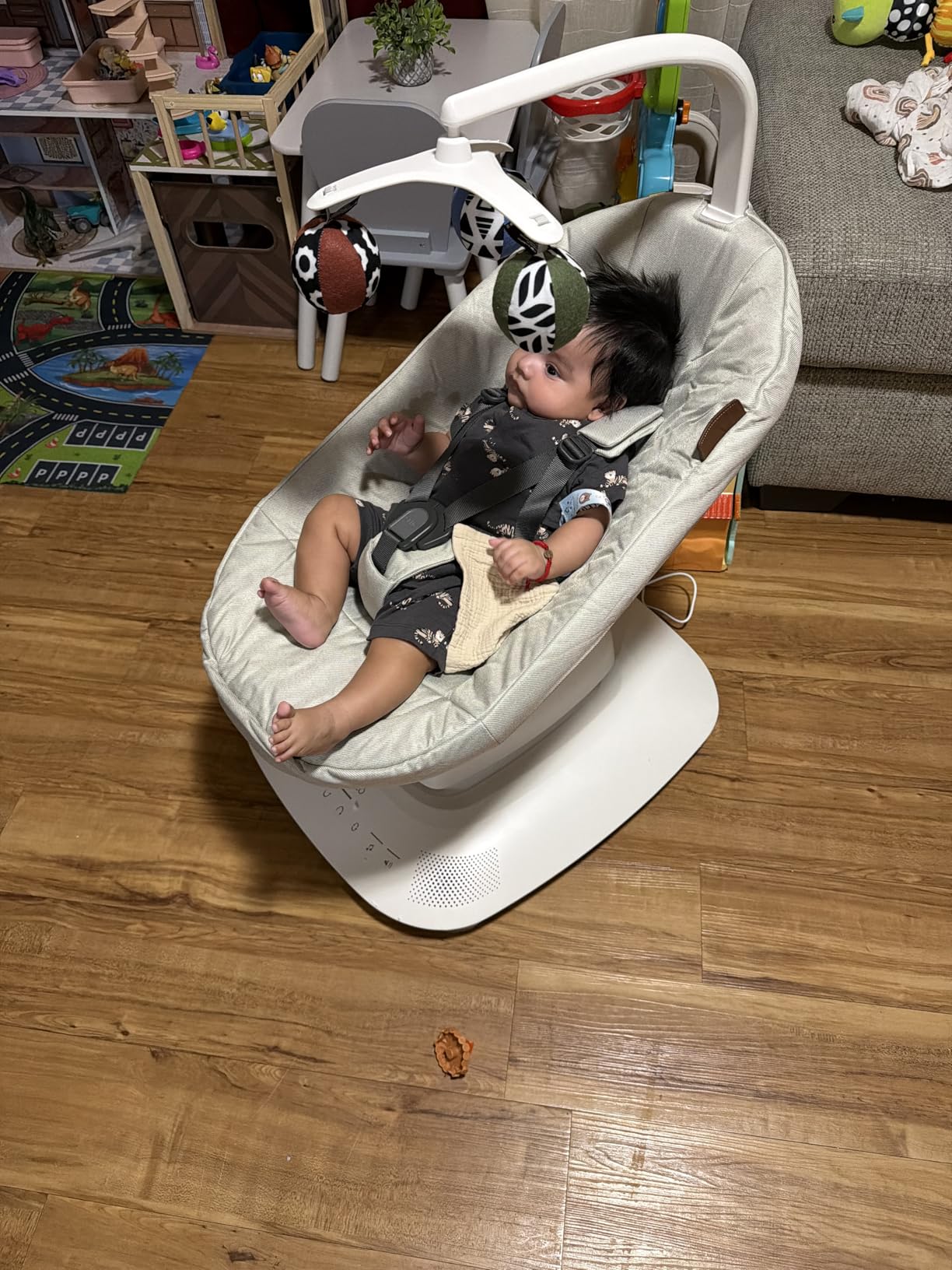 UPPAbaby Mamaroo Smart Swing with MotionSync Technology customer photo 1