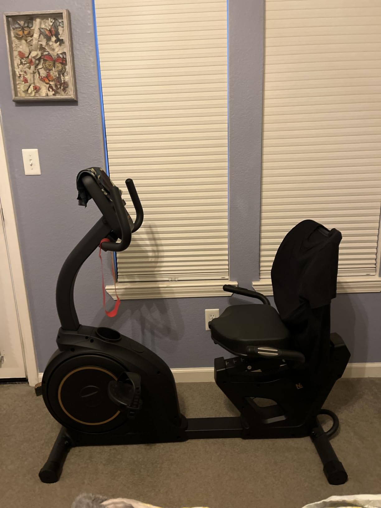 Niceday Recumbent Exercise Bike - Recumbent Stationary Bike 400LBS Weight Capacity, Magnetic Recumbent Bike with Smart APP, LCD Monitor, Heart Rate Handle customer photo 2