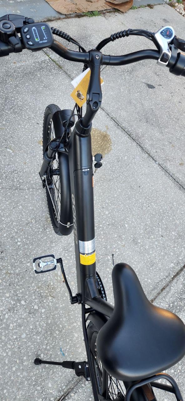 Electric Bike for Adults,1000W Peak Power,Up to 75 Miles 28MPH,26