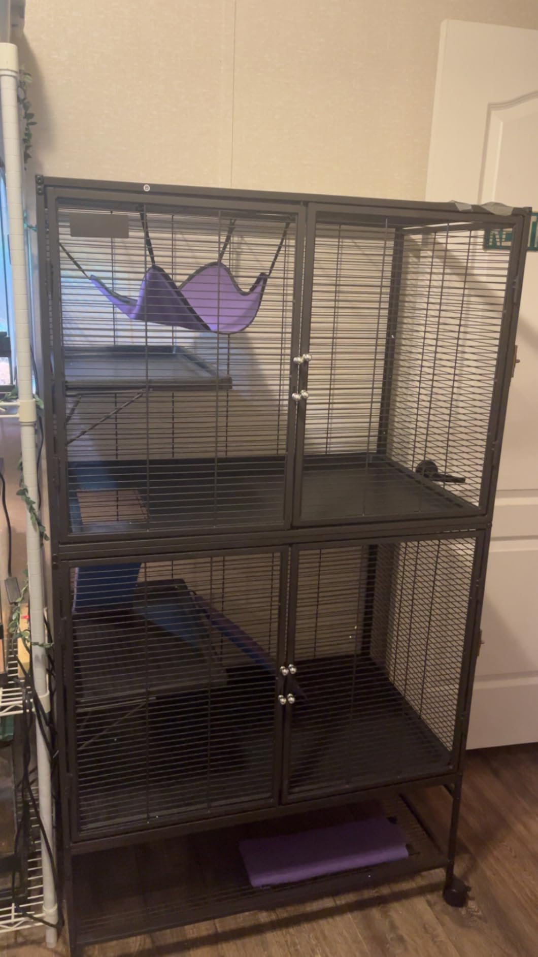 Garvee Metal Small Animal Cage,64 in H Ferret Cage for Small Animals - 4 Tier Large Hamster Cage with Removable Ramp, Hammock, Extra Storage Stand,Removable Tray for Ferret, Chinchilla, Hamster customer photo 1