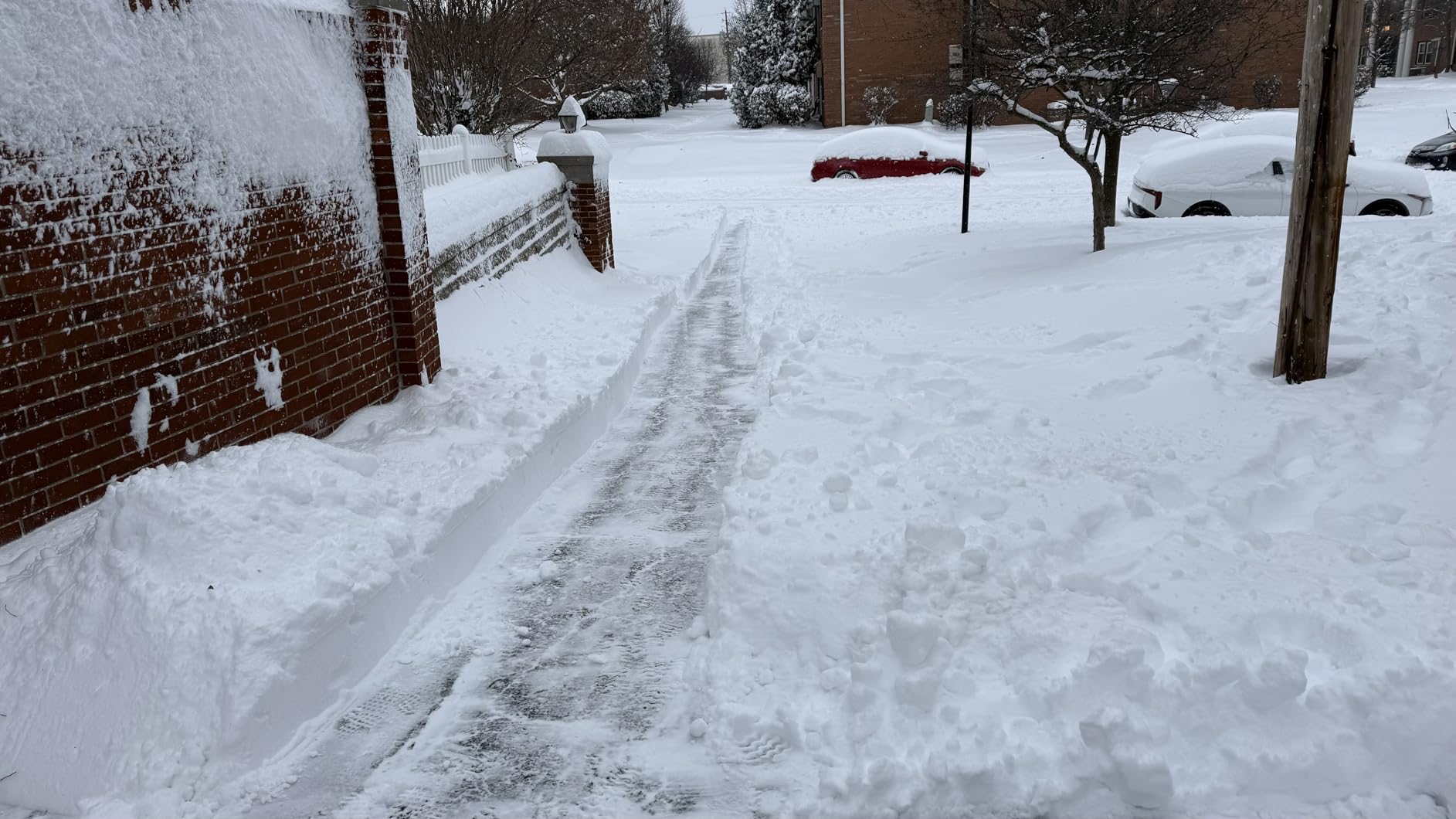 Snow Joe IONMAX 48V 18 Inch Cordless Electric Snow Blower Machine - Battery-Powered Single-Stage Thrower with LED Light and Wheels for Driveway Clearing, 24V-X2-SB18-GO customer photo 1