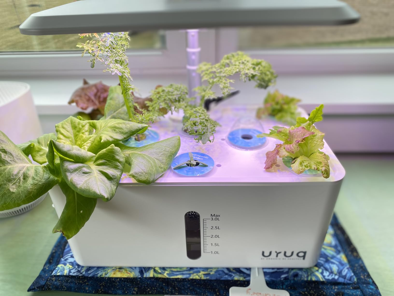 URUQ Hydroponics Growing System Garden: 8 Pods Indoor Herb Garden with Grow Light Plants Germination Kit Quiet Automatic Hydroponic Height Adjustable customer photo 1