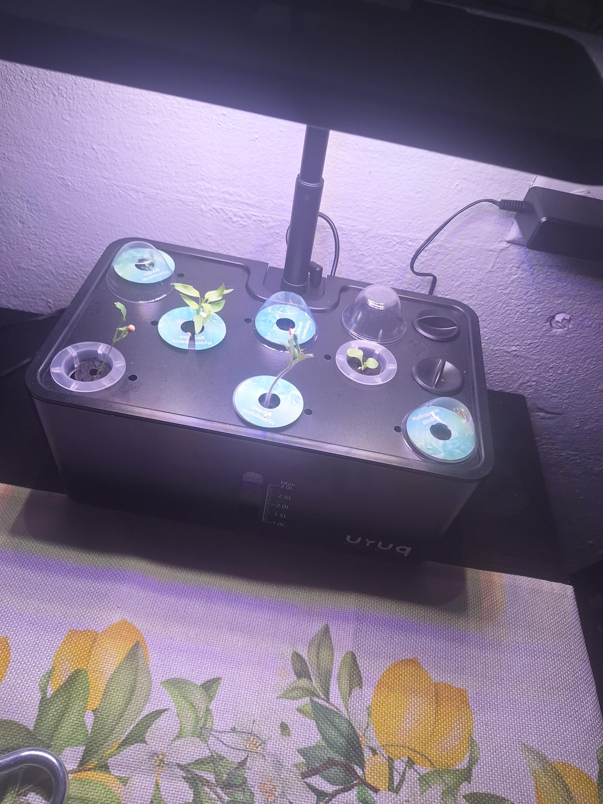 URUQ Hydroponics Growing System Garden: 8 Pods Indoor Herb Garden with Grow Light Plants Germination Kit Quiet Automatic Hydroponic Height Adjustable customer photo 2