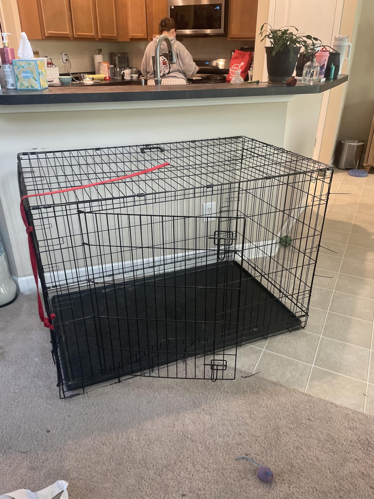 Heavy Duty Dog Crate, ACIDBOLT 55 Inch Indestructible Escape Proof XL Metal Dog Kennel Cage for Large Medium Small Dogs, Indoor High Anxiety Pet Crate with 2 Door, 4 Lockable Wheels and Removable Tray customer photo 2