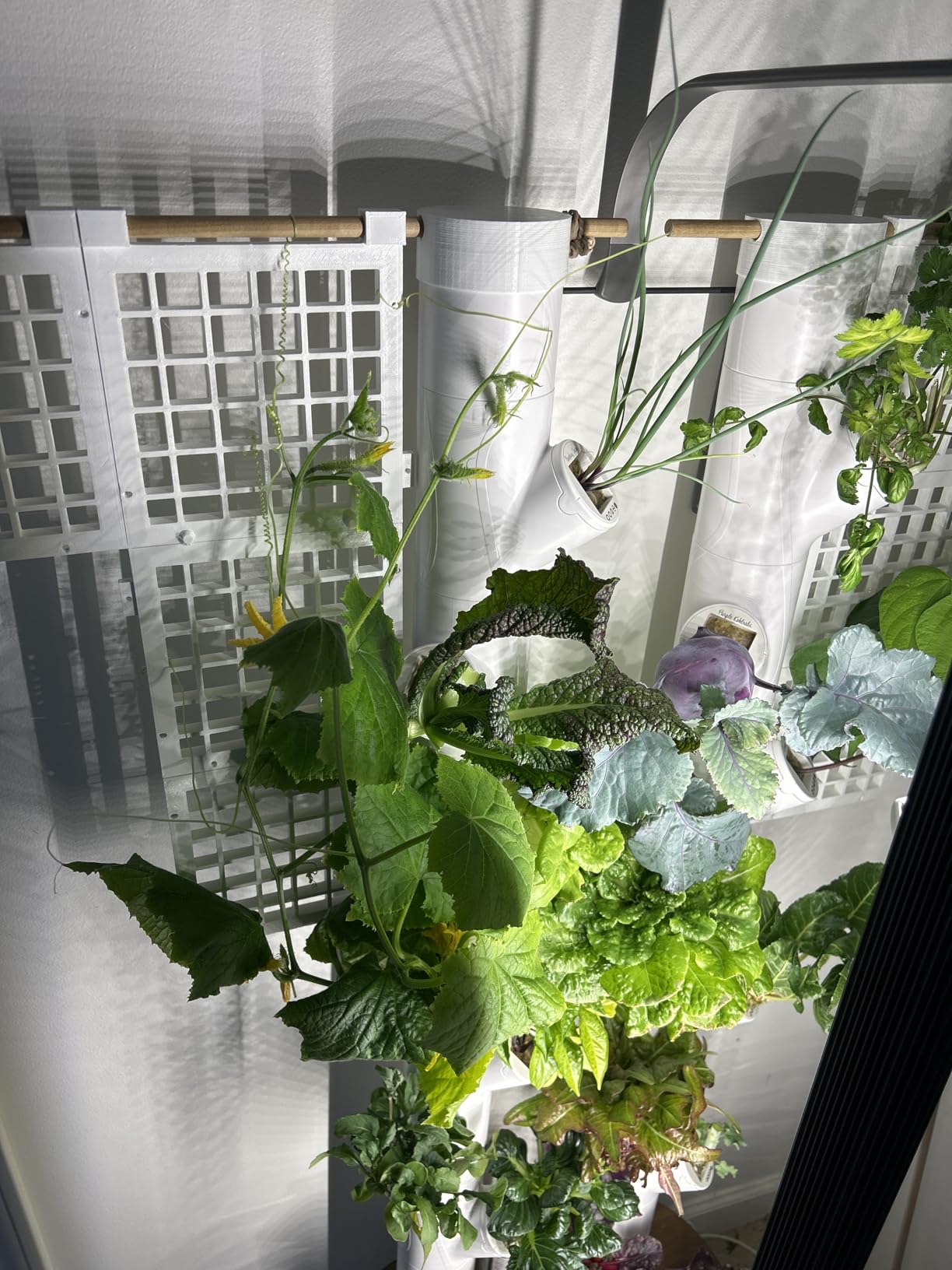 Gardyn Studio 1 Vertical Hydroponics Growing System Kit - 16 Non-GMO Plants, Herbs, Vegetables with LED Grow Lights customer photo 1