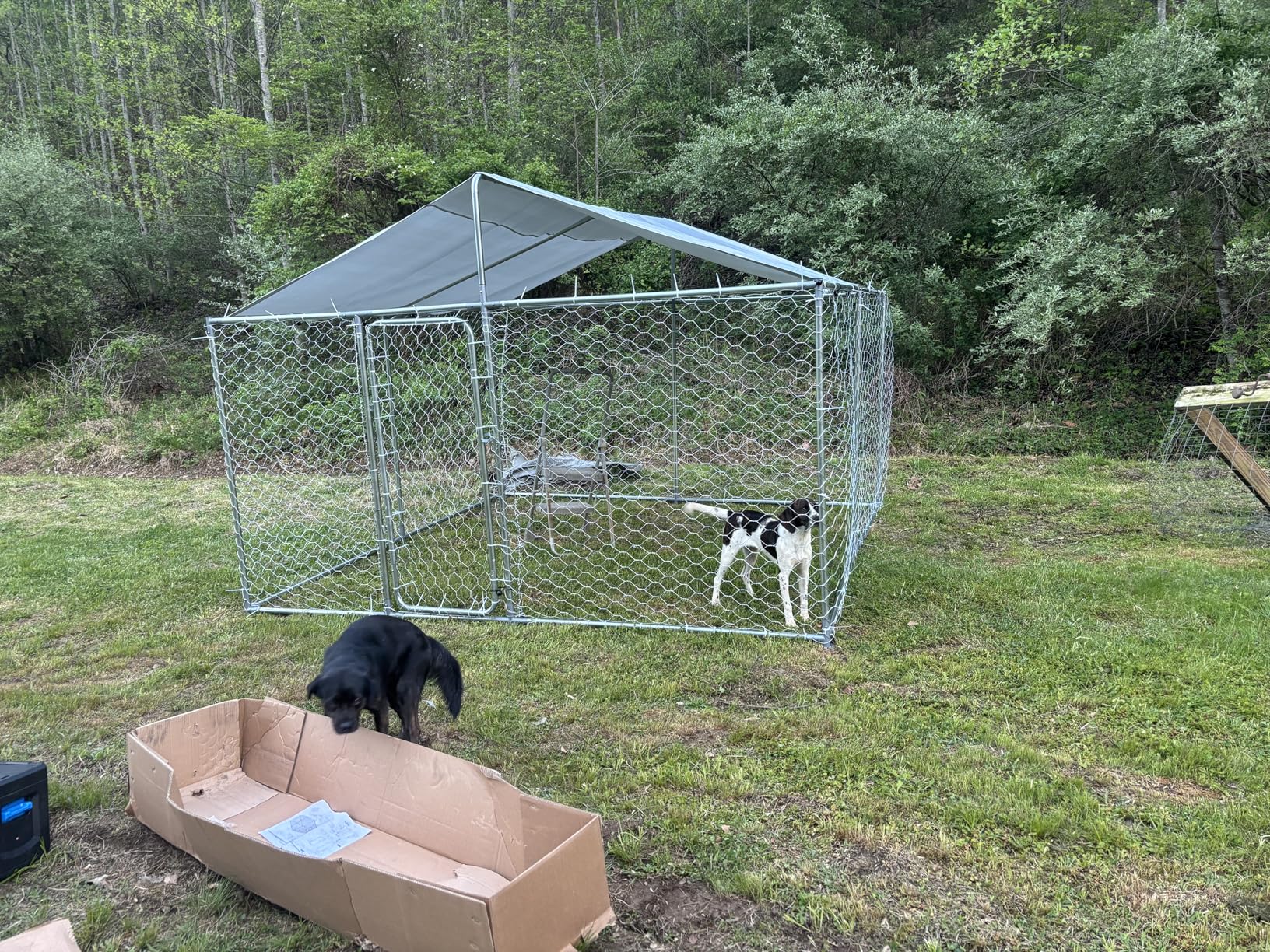 10x10FT Dog Kennel Outdoor Outside, Heavy Duty Metal Dog Enclosure with Waterproof Oxford Roof & Security Lock, Panels for Large Dogs & Small Animals, Backyard Pet Playpen customer photo 1