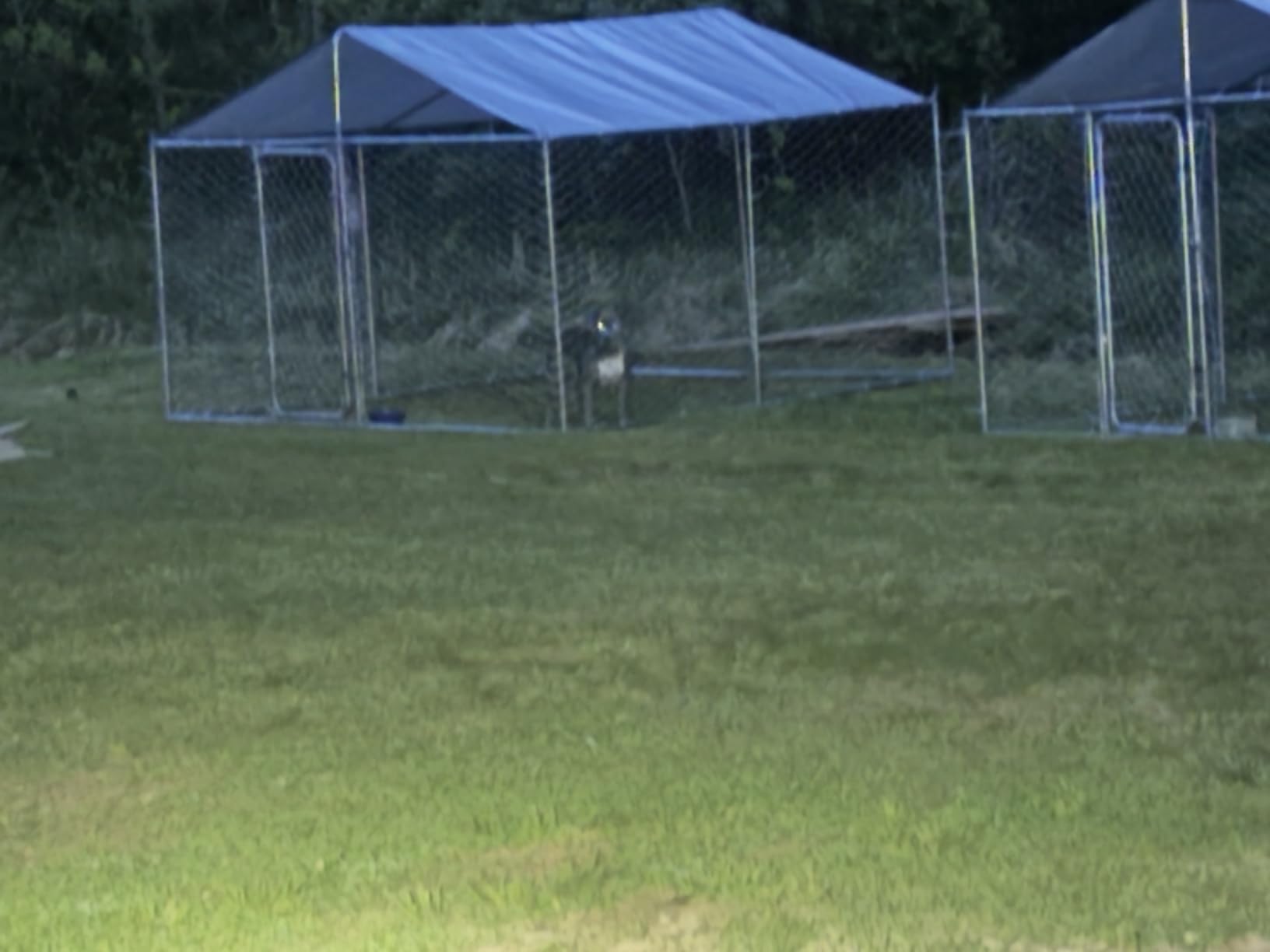10x10FT Dog Kennel Outdoor Outside, Heavy Duty Metal Dog Enclosure with Waterproof Oxford Roof & Security Lock, Panels for Large Dogs & Small Animals, Backyard Pet Playpen customer photo 2