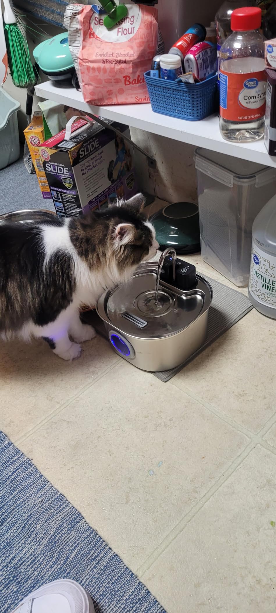 Voluas Stainless Steel Cat Water Fountain: 108oz/3.2L Wireless Cat Fountain Battery Operated for Drinking Indoor, Automatic Pet Water Dispenser Bowl with Ultra Quiet Pump customer photo 1