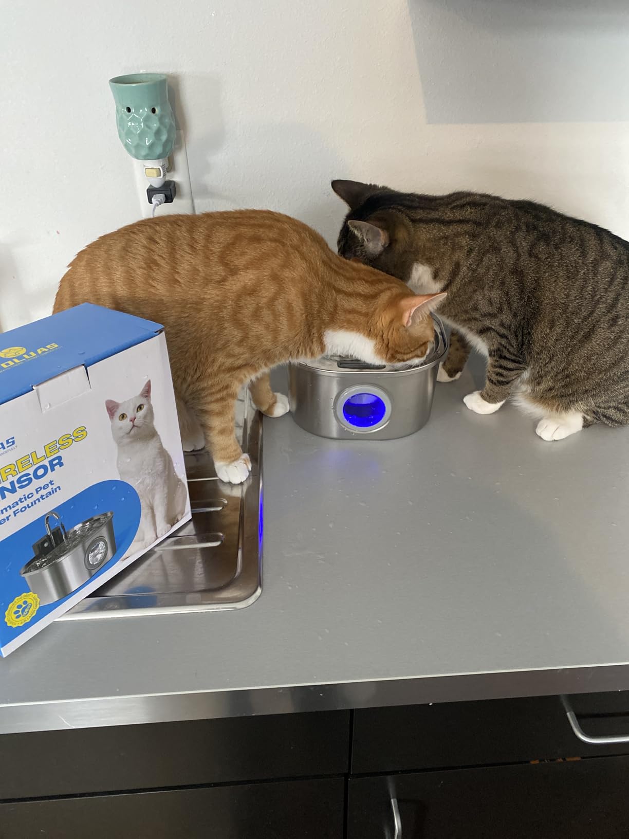 Voluas Stainless Steel Cat Water Fountain: 108oz/3.2L Wireless Cat Fountain Battery Operated for Drinking Indoor, Automatic Pet Water Dispenser Bowl with Ultra Quiet Pump customer photo 2