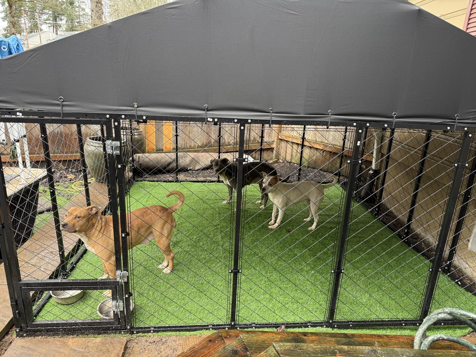 10x10x6.4 FT Large Outdoor Dog Kennel with Roof, Heavy Duty Anti-Rust Metal Dog Enclosure Fence for All Weather Resistant, Secure Double Locks for Large Dogs Outsides customer photo 1
