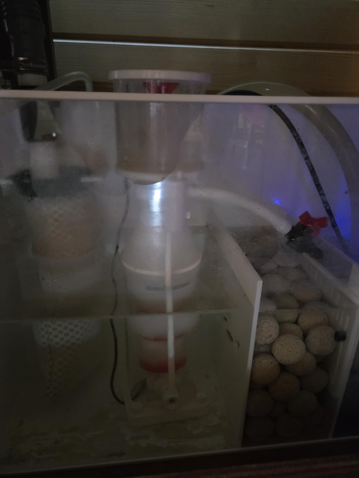 Protein Skimmer for 50-100 Gallon Saltwater Aquarium, DC Pump with Adjustable Flow Control, Ultra Silent Operation customer photo 1
