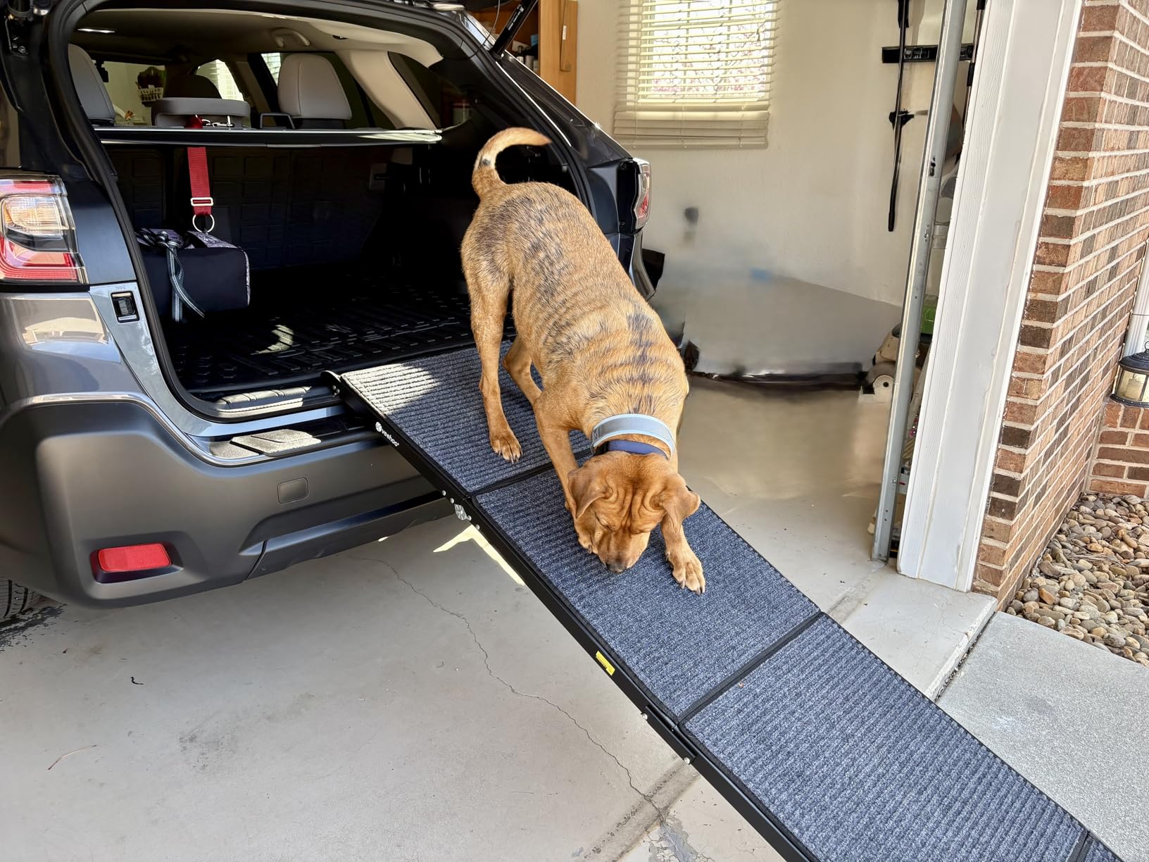 Veehoo Dog Ramp for Car Truck SUV 71