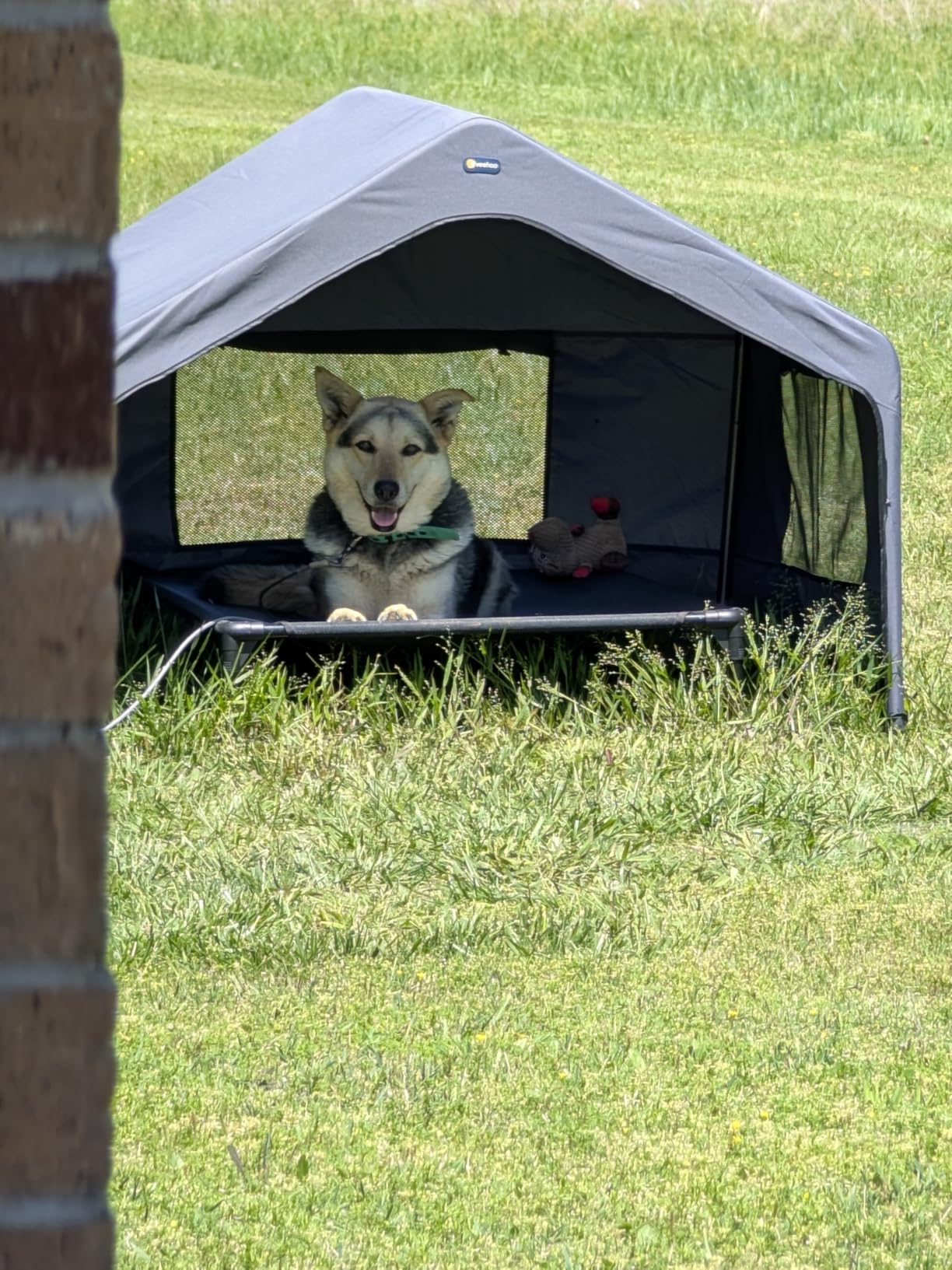 Veehoo Extra Large Dog House Outdoor with Elevated Dog Bed, Outside Dog Tent 4.1' x 4.1' x 3.3', Weatherproof Dog Shade Shelter and Raised Bed Combo customer photo 1