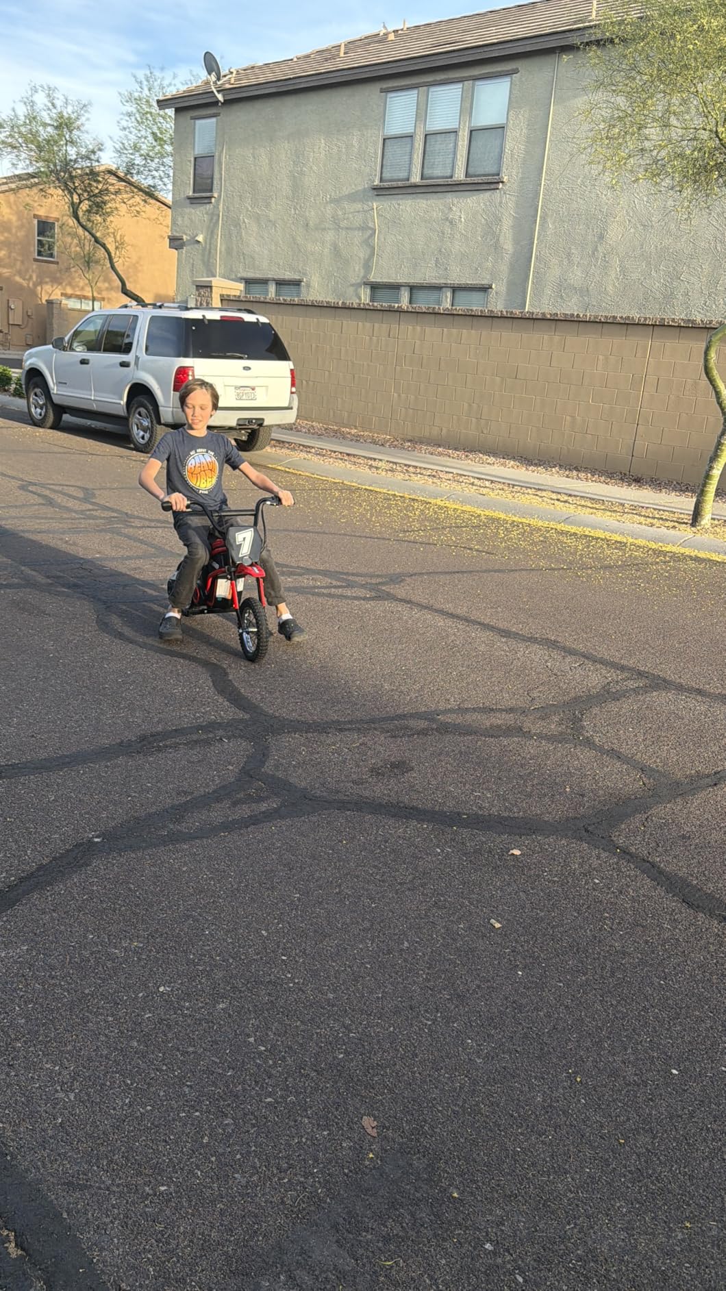 ELEMARA Electric Dirt Bike for Kids, 15.5 mph & 150lb Max, 350W Kids Motorcycle with Music & Bluetooth, Chain-Driven Motor, Twist-Grip Throttle & Hand-Operated Rear Brake, 12