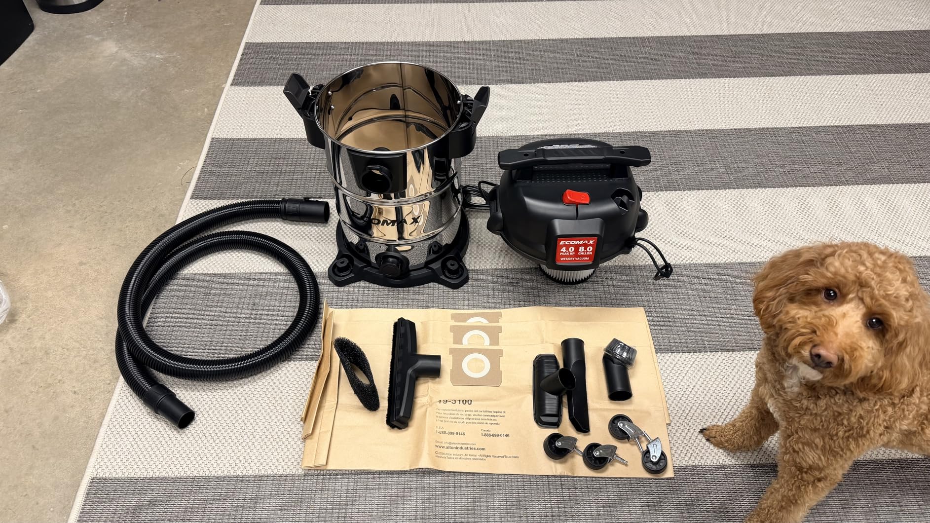 ECOMAX 8 Gallon Ultra-Quiet Shop Vacuum Wet and Dry, Stainless Steel Shop Vac with 80% Noise Reduction, 3X Longer Motor Life, 4 Peak HP Suction, Complete Accessory Kit for Garage, Workshop & Home customer photo 1