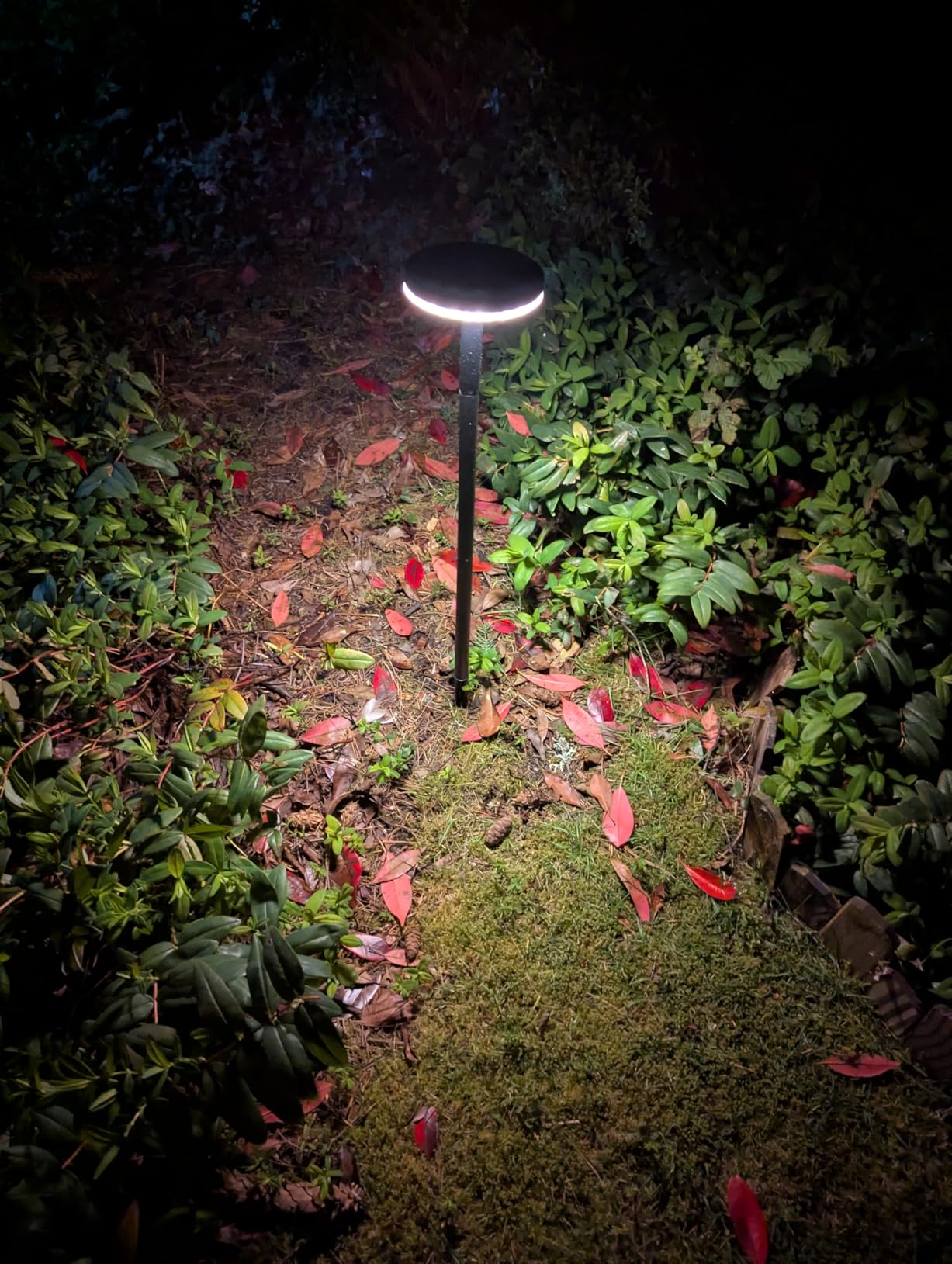 KOOPER 3X Larger & Taller Solar Pathway Lights Outdoor, 6 Pack Metal Solar Powered Garden Lights Waterproof, 2 Lighting Modes Adjustable Solar Landscape Path Lights customer photo 1