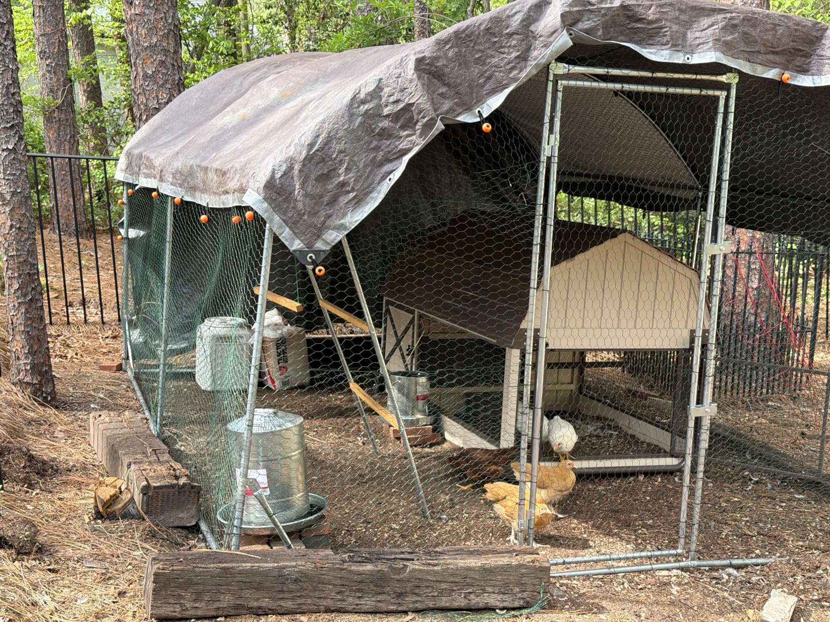 Quictent Essential Series 12x9x6.6ft Metal Chicken Coop Run with Climbing Ladder, Walk-in Outdoor Poultry Cage with PVC Coated Chicken Wire, Hen Duck Rabbit Farm House, Waterproof Anti-UV Cover customer photo 1