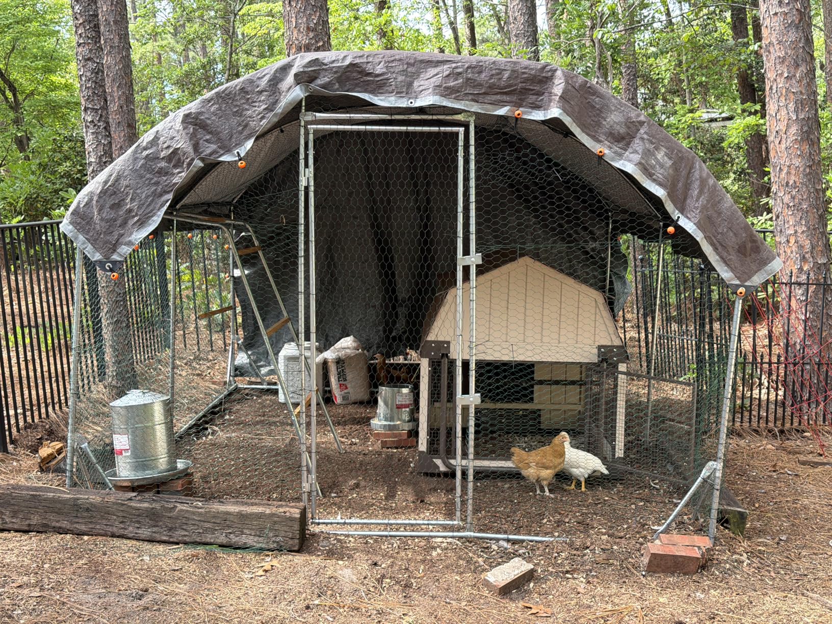 Quictent Essential Series 12x9x6.6ft Metal Chicken Coop Run with Climbing Ladder, Walk-in Outdoor Poultry Cage with PVC Coated Chicken Wire, Hen Duck Rabbit Farm House, Waterproof Anti-UV Cover customer photo 2