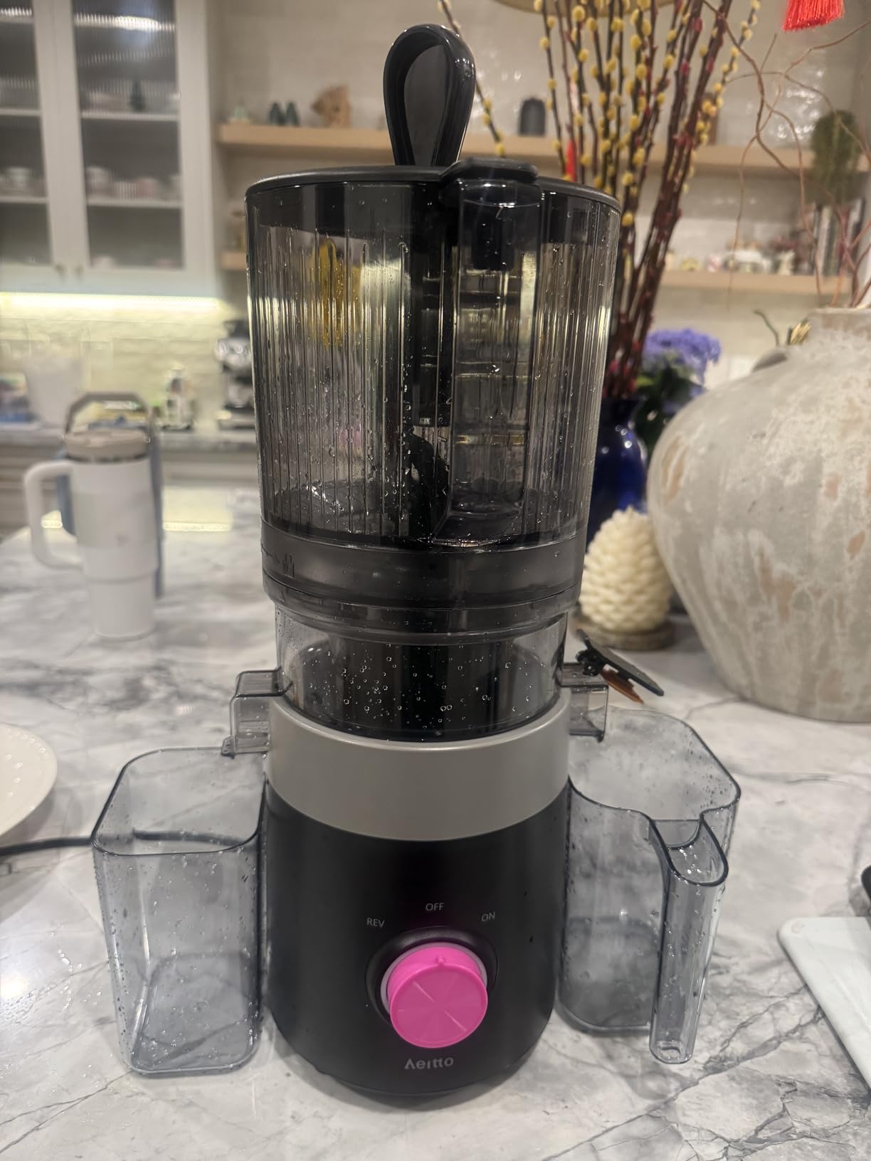 Aeitto Easy to Clean Cold Press Juicer with Filter-Free Design, 3-in-1 Juicer Machines for Juice, Nut Milk & Sorbet, 6.0