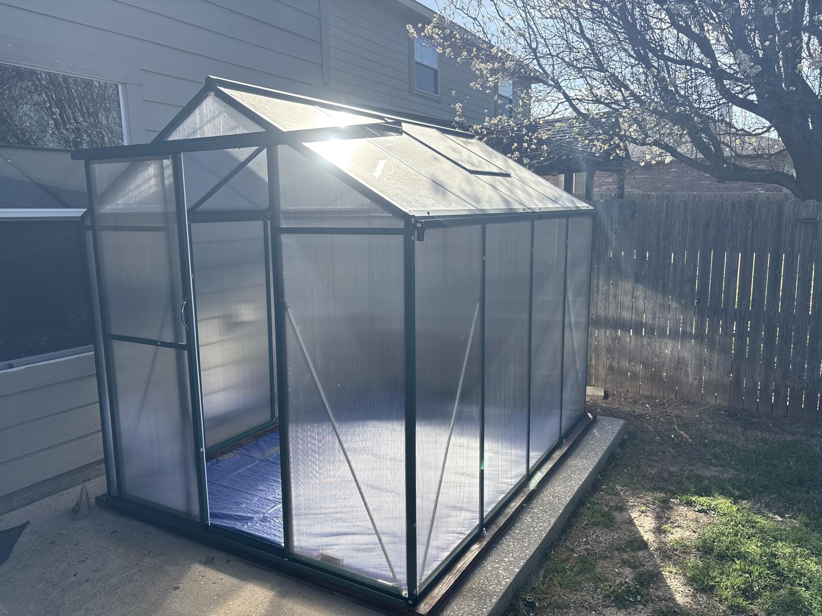GarveeHome 6X8 FT Greenhouse, Walk-in Greenhouse Kit with Aluminum Frame, Polycarbonate Panels, Adjustable Roof Vent, Sliding Door, Secure Lock for Outside Garden, Patio, Backyard customer photo 2