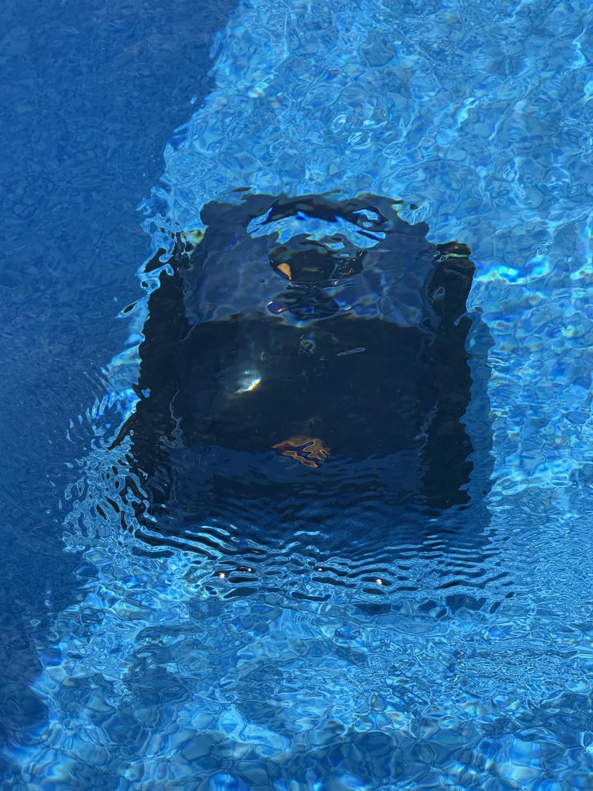 Cordless Robotic Pool Vacuum with Smarter Navigation & Track Drive, Dual 180W Brushless Motors, Wall & Waterline Climbing, 150-Min Runtime, for Inground & Above-Ground Pools up to 2,150 Sq. Ft. customer photo 1