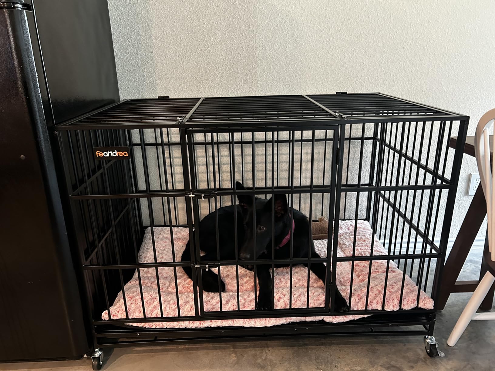 Feandrea Heavy-Duty Dog Crate, 5-Minute Quick Assembly, Foldable Dog Kennel Cage with Lockable Wheels, Double Doors, Escape Proof Fixed Bottom, Removable Tray, Easy to Clean, Ink Black, 48 Inch customer photo 2