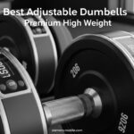 Best Adjustable Dumbbells Premium High Weight
