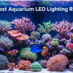 Best Aquarium LED Lighting Reef