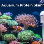 Best Aquarium Protein Skimmers