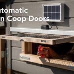 Best Automatic Chicken Coop Doors