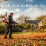 Best Backpack Leaf Blower Gas